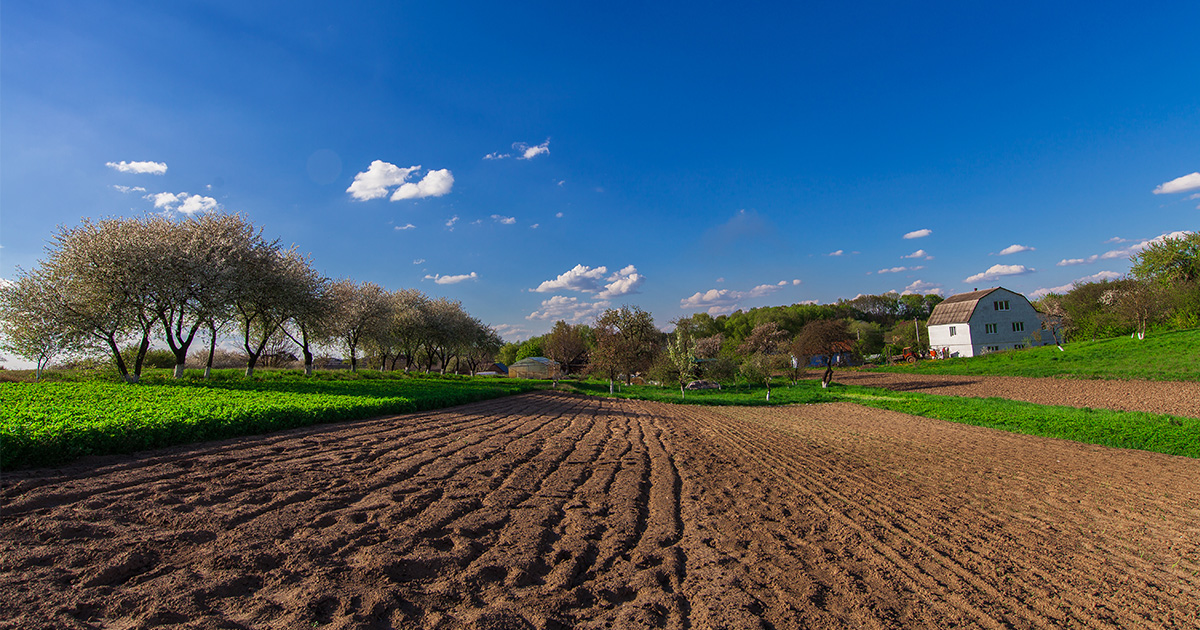 Arazi ve arsa kavramları arasında nasıl bir fark vardır?